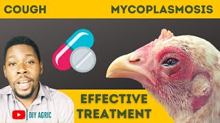 How to Treat Cough in Chickens Chronic Respiratory Disease in Poultry [upl. by Areis]