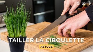 TUTO  COMMENT COUPER LA CIBOULETTE [upl. by Tini]