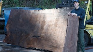 Live Edge For Beginners  Wood Bugs and Green Wood  How To Woodworking [upl. by Holton22]