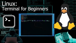 Kali Linux Terminal  Command Line for Beginners Tutorial [upl. by Irvin]