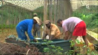 Reportage sur lîle de Mayotte [upl. by Haroppiz]