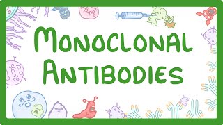 GCSE Biology  Monoclonal Antibodies 40 [upl. by Mccoy]