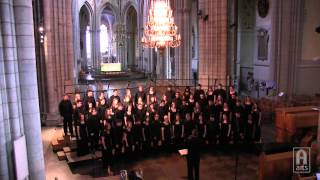 Augustana Choir  Shenandoah [upl. by Ahsatsan]