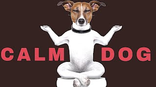 Sound To Calm Dogs Within 5 Minutes  Dog Hypnosis [upl. by Ahcropal]