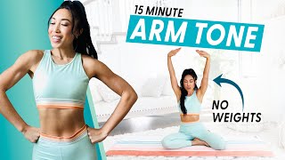 15 Minute Arm Burnout weightless upper body workout [upl. by Estelle]