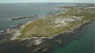 Welcome to the Falkland Islands [upl. by Baun]