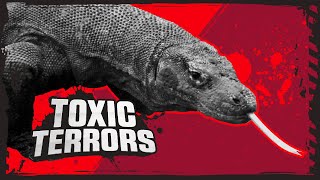 Komodo Dragon Vs Black Widow  Deadly Animal Showdowns  BBC Earth Kids [upl. by Odravde383]