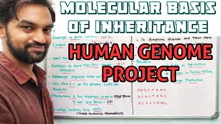 Human Genome Project  Molecular basis of Inheritance [upl. by Ennaeirb668]