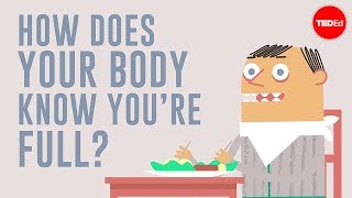 How does your body know youre full  Hilary Coller [upl. by Herb]