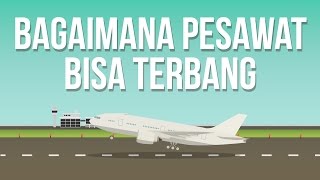 Kenapa Pesawat Bisa Terbang [upl. by Eceerahs185]