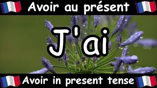 AVOIR To Have Conjugation Song  Present Tense  French Conjugation  Le Verbe AVOIR [upl. by Ulysses4]