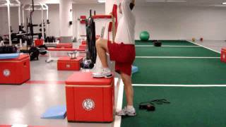 Psoas Iliacus Strengthening Exercises [upl. by Ernest821]