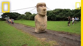 Scientists Make Easter Island Statue Walk  National Geographic [upl. by Mosra]