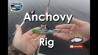 How to build an anchovy rig  Rhys Davis [upl. by Amoakuh]