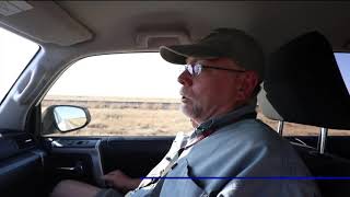 Thousands of tarantulas migrating across Colorado roads [upl. by Pfaff175]