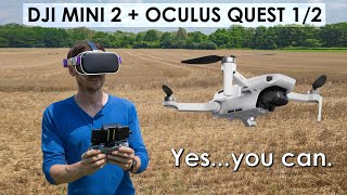 Fly The DJI Mavic Mini or Mini 2 With An Oculus Quest Or Quest 2 [upl. by Artamas]