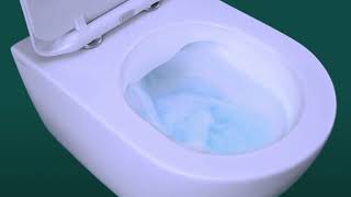 What are Rimless Toilets [upl. by Okir340]