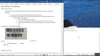 Zebra 123Scan Creating a Data Parsing Rule UDI Scan Label Parse and Blood Bag Parse [upl. by Corette]