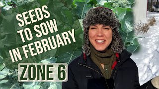 What to Start From Seed in February Zone 6 [upl. by Coraline473]