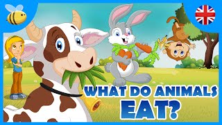 What do Carnivores Herbivores and Omnivores Animals Eat  Kids Videos [upl. by Gehman]