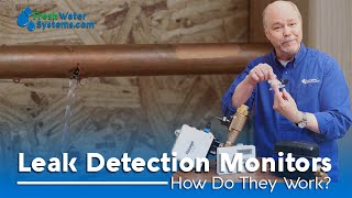 How Leak Detection Systems Work [upl. by Avin996]