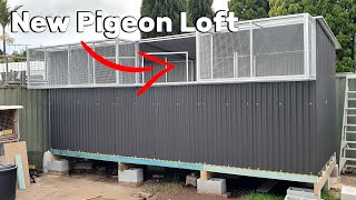 Building my new Pigeon Loft [upl. by Ruelle211]