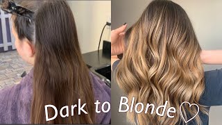 Hand Painted Balayage Ombre Technique  Dark to Blonde Tutorial [upl. by Ardnuek]