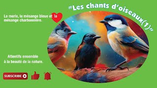 les chants doiseaux 1 [upl. by Lou]