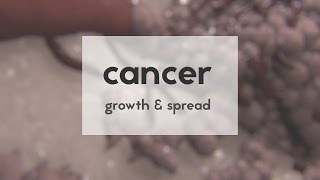 Cancer growth amp spread [upl. by Ellemac]