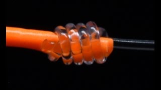 How to Tie the Nail Knot [upl. by Reinhold]