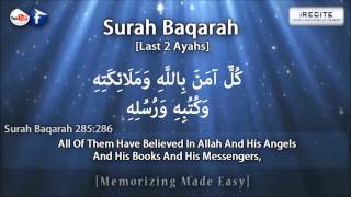 Surah Baqarah Last 2 Verses  Sheikh Ziyad Patel  Memorizing Made Easy  1080pᴴᴰ [upl. by Normac276]