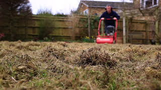 Lawn Scarification  Correct Scarification Procedure [upl. by Morrie]