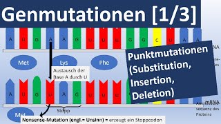 Genmutationen 13 Punktmutationen Insertion Substitution Deletion  Genetik Oberstufe [upl. by Adigun438]