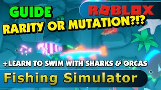 Fishing Simulator explaining rarity and mutation  how to swim with sharks and orcas Roblox 2K [upl. by Anidem]