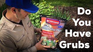 Do You Have Grubs in Your Lawn DIY [upl. by Egarton44]