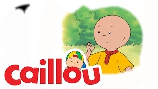 Caillou  Caillou Tries Karate S03E01  Videos For Kids [upl. by Lhadnek941]