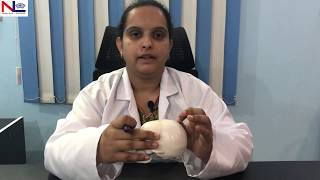 Fetal Skull  Practical Explanation  English  Nursing Lecture [upl. by Adnar982]