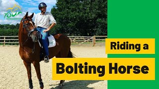 Riding a Bolting Horse  Exercises to teach your horse so you can maintain control [upl. by Uaerraj]