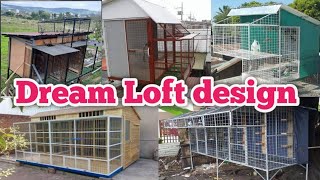 Pigeon Loft design  DreamLoft [upl. by Baillieu]