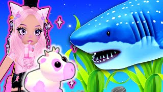 Roblox Aquarium Story  FROFFEE 🍨 [upl. by Netsrijk]