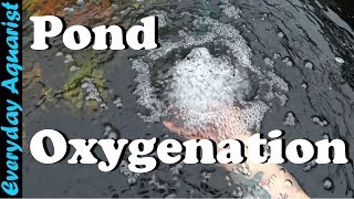 How To Aerate amp Oxygenate Your Pond [upl. by Ekrub352]