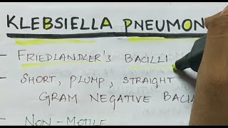 Klebsiella pneumoniae  Microbiology  Handwritten notes [upl. by Nette]