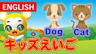 キッズ英語 ★動物の名前を英語をおぼえよう★どうぶつ いっぱい 子供向け知育動画 ★赤ちゃん喜ぶアニメ★知育ビデオ★Learn the name of the animal [upl. by Anerok]