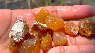 Finding Natural Chalcedony Carnelian Agate Gemstones At The Mountain [upl. by Oz]