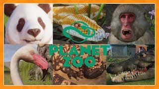 All 76 animals in Planet Zoo [upl. by Htebsle]