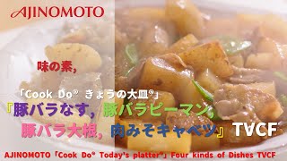 Japanese Ads AJINOMOTO 「Cook Do® Todays platter®」 Four kinds of Dishes TVCF [upl. by Alleunam]