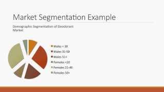 Market Interpretation Segmenting and Targeting [upl. by Hillinck543]