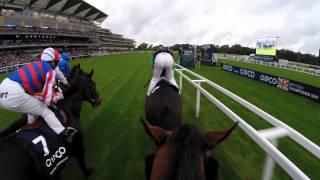 British Champions Day Jockey Camera [upl. by Egres]