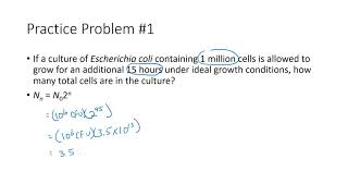 Calculating Number of Bacterial Cells [upl. by Trini]