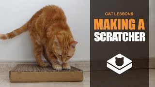 How to Make a Cat Scratcher [upl. by Pinkham614]